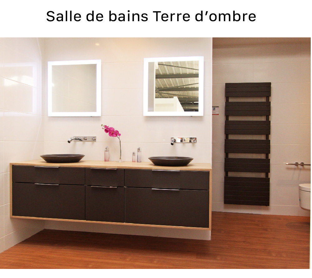 salle de bains/TERRE D OMBRE